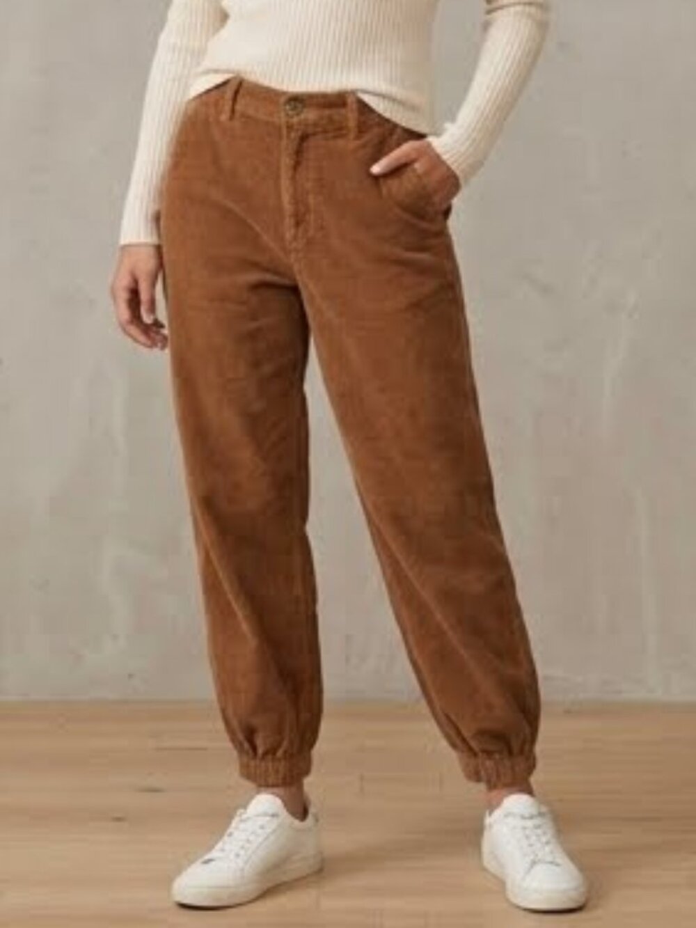 Aritzia TNA Chateau Corduroy Jogger Brown High-Rise Cinched Pants Size 0